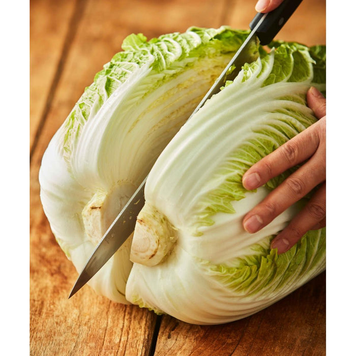 Vegan Kimchi - 24oz (700g)