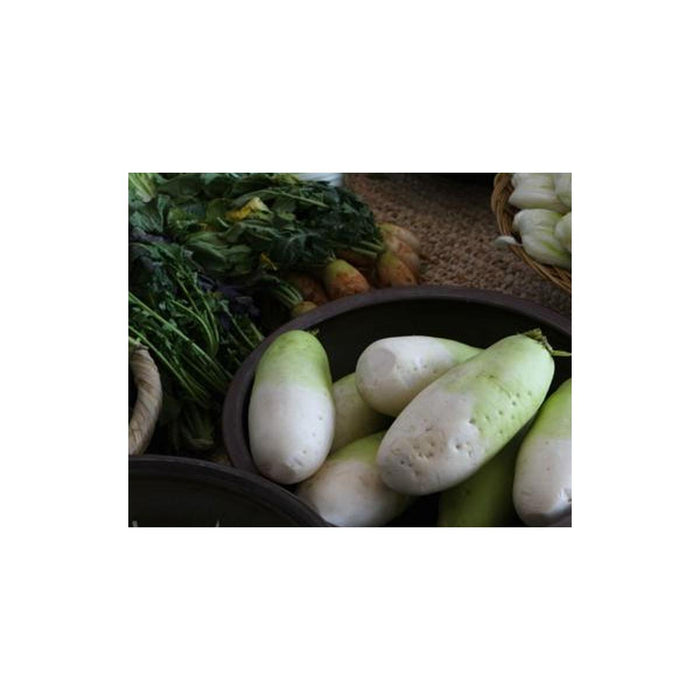 Radish Kimchi - 50oz (1.4kg)